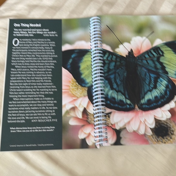 Our Daily Bread
DAILY PLANNER 2025 - Picture 5 of 10